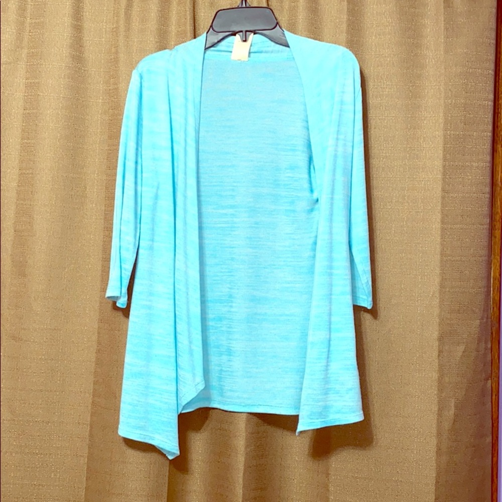 Blue Cardigan
